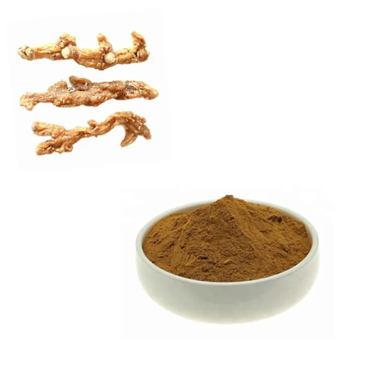 корень дикого женьшеня. коричневый корень для чипсов. орхидея фаленопсис корни. лапчатка прямостоячая корень. сушеные корни растений.