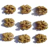 Factory Wholesale Chinese high quality Light color walnut without shell