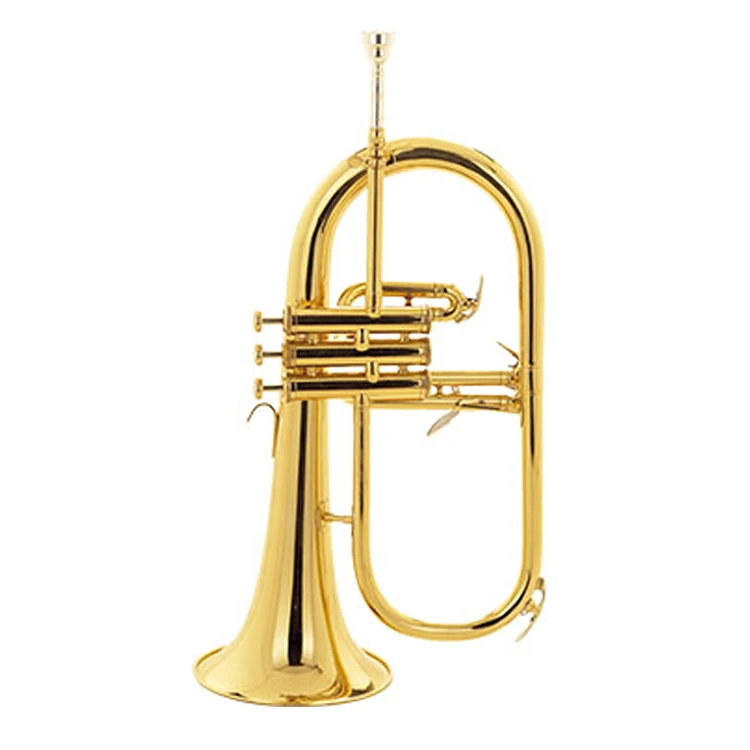 flugelhorn bb with flugel horn mouthpiece (dyfg-480)