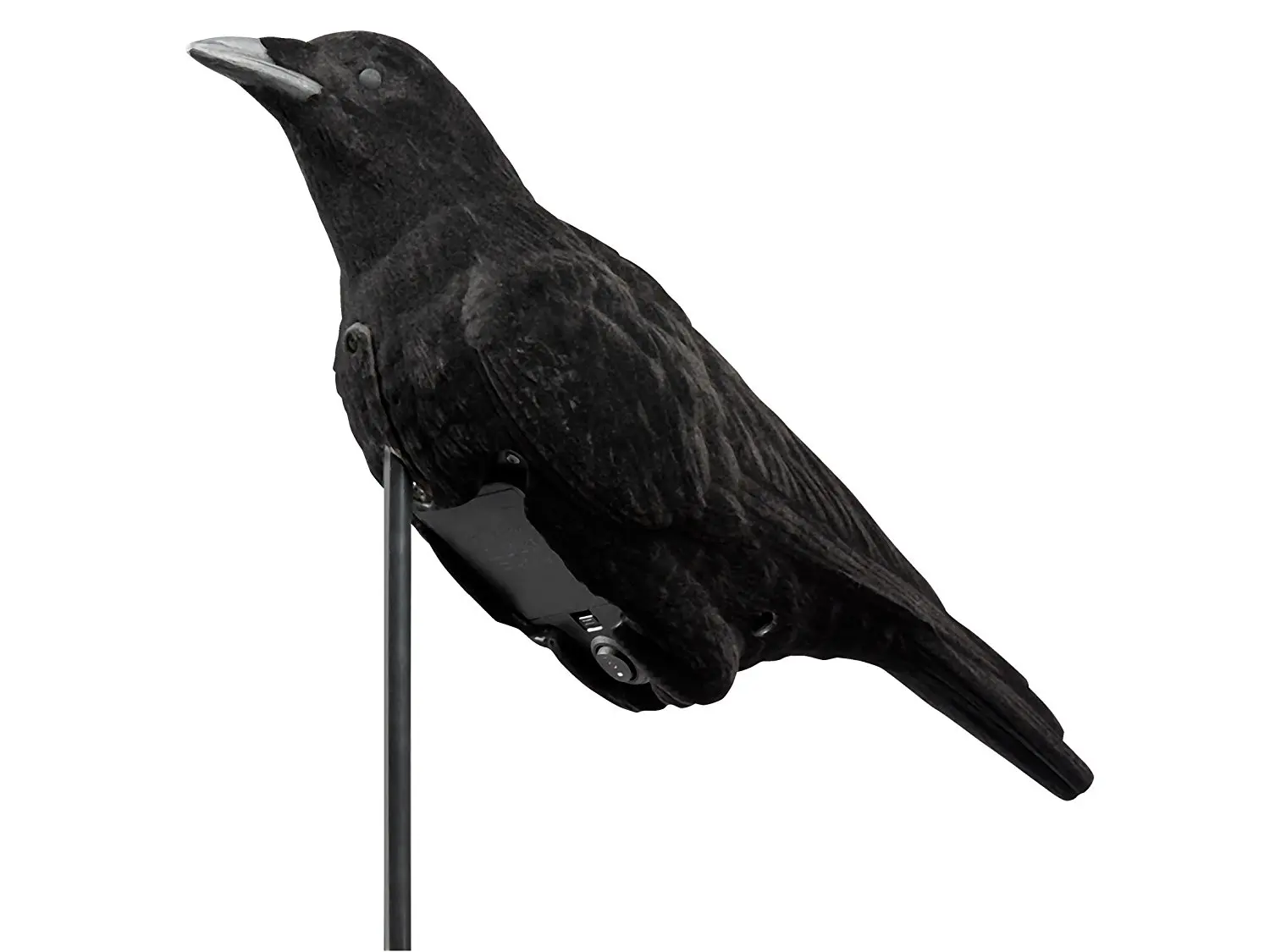 Cheap Electronic Crow Calls, find Electronic Crow Calls deals on line