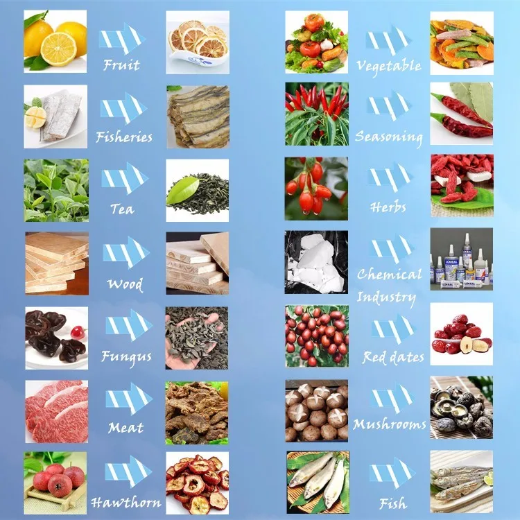 microwave herb leaves DRYER