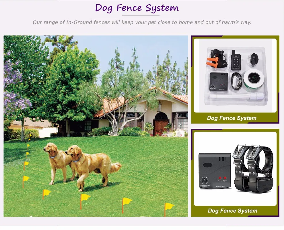 newest products for 2018 electric fence for dogs