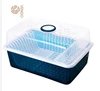 Professional transparent plastic containers vegetable food storage box