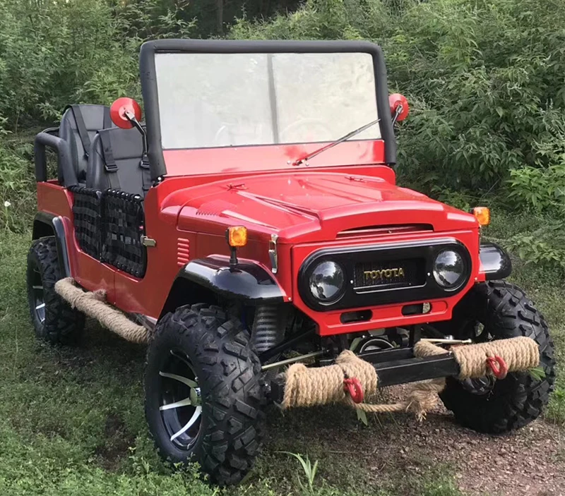 road legal buggy kit