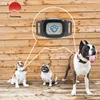 Smallest Free sample Free App Free API GPS GSM Pet Tracker
