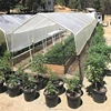 Professional hdpe Sun block fabric Shading Net Garden Crop Protection/Shelter Use