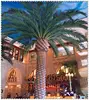 fancy artificial date palm tree for western resturant decoration / simulation date palm tree / pvc pipe artificial tree