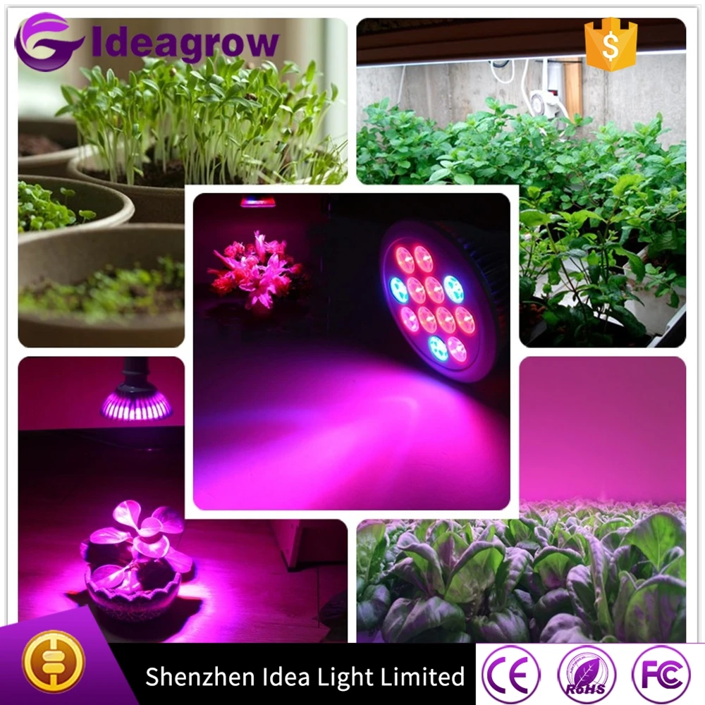 Shenzhen Led Grow Lights Wholesale, Shenzhen Led Suppliers - Alibaba for Plasma Grow Light
570bof Shenzhen Led Grow Lights Wholesale, Shenzhen Led Suppliers - Alibaba for Plasma Grow Light
570bof