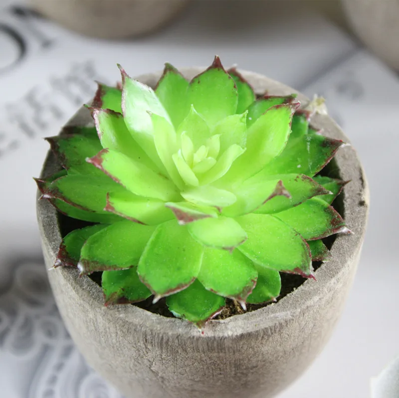 artificial succulent (11).jpg