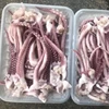 best price wholesale frozen equator squid tentacle with head