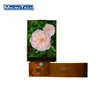 2018 new development 2.4 inches LCD with 240*320 resolution TFT screen