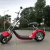 nzita easy control smart portable electric scooter with accelerator function