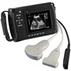 /product-detail/veterinary-full-digital-portable-vet-ultrasound-scanner-for-veterinary-animal-with-rectal-probe-62056097085.html