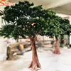 2019 all festivals Occasion decoration pine tree evergreen indoor decorative pine trees for hotel party home decoration