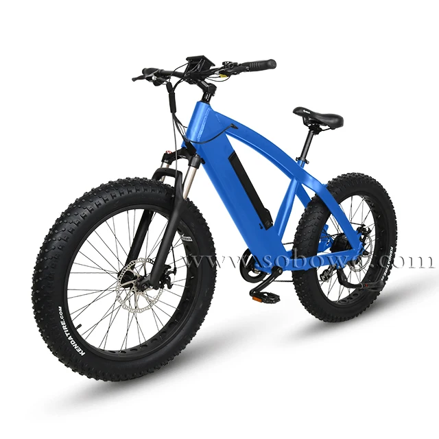 e bike eco