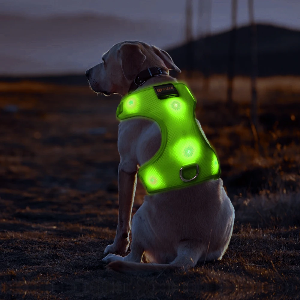 2018 Hot Seller Pet Sports Safety Rechargeable Washable Led Dog Harness