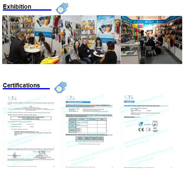 exhibition+certification