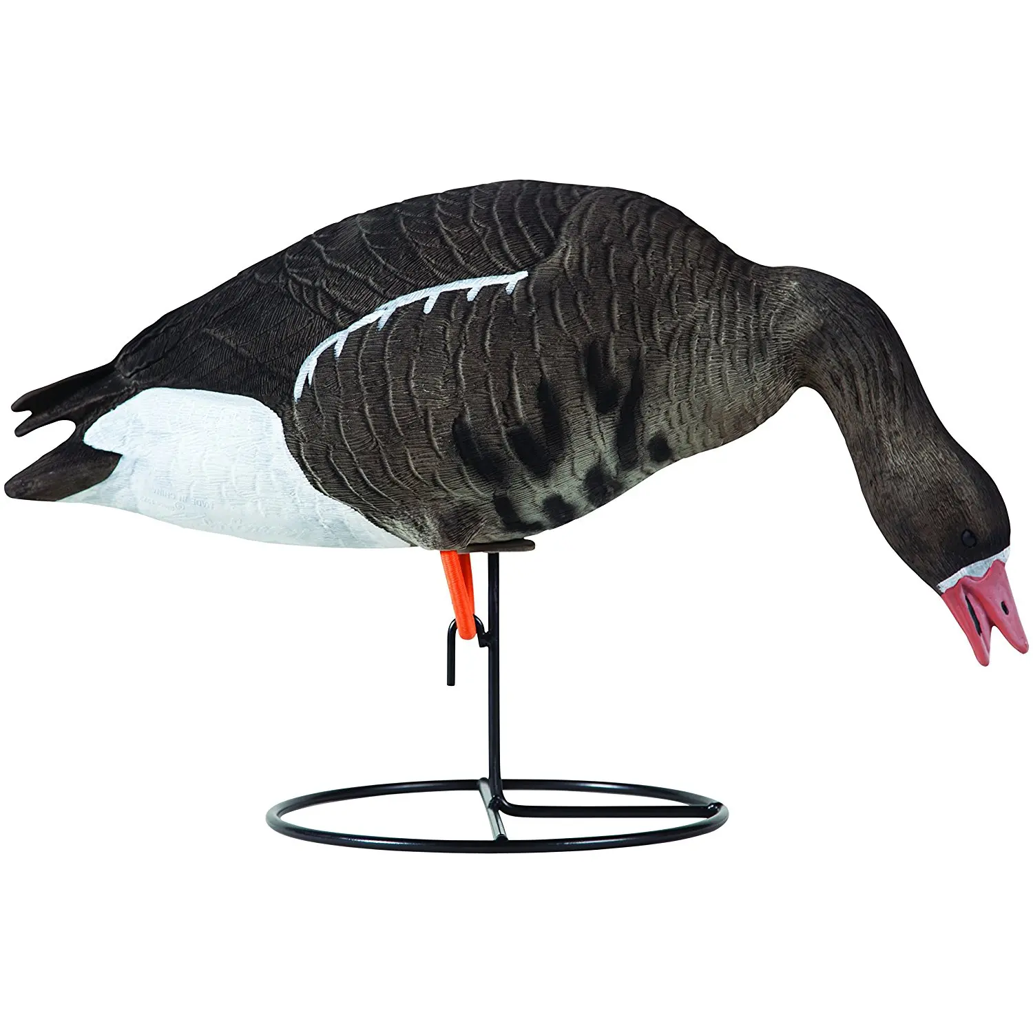 Cheap Specklebelly Goose Decoy, find Specklebelly Goose Decoy deals on