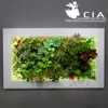 /product-detail/vertical-wall-decor-artificial-plants-arrangement-mixed-artificial-succulents-plants-wall-art-60246465987.html