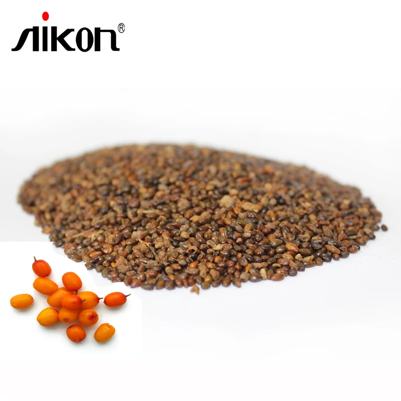 Sea Buckthorn Common Sea Buckthorn 50+ seeds Hippophae rhamnoides