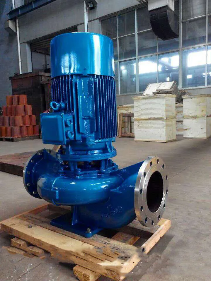 Isg Series Bronze Impeller Diesel Fuel Oil Transfer Vertical