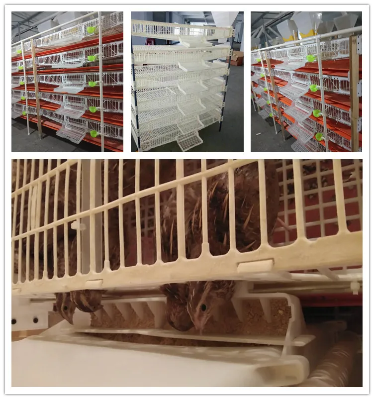 High Quality Plastic Quail Cages/coop For Sale - Buy Plastic Quail Cage