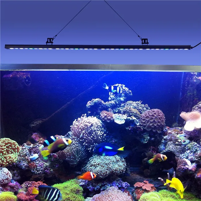 IP65 Waterproof Day Light Sky Blue LED Aquarium Light Bar Similar to Orphek Light.jpg