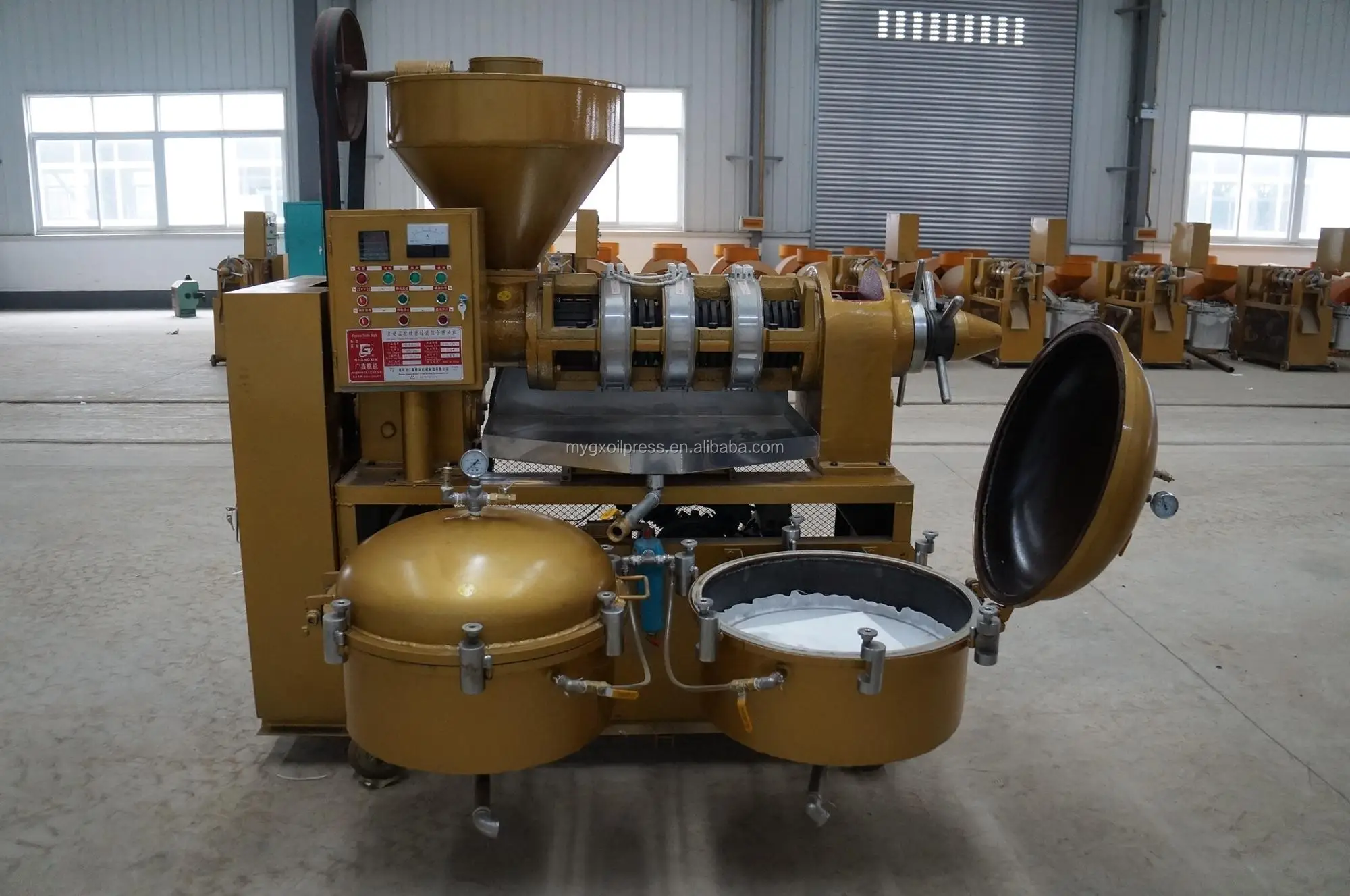 High Efficiency Cbd Oil Extract Machine/groundnut Palm Oil Processing