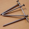 Polish common iron wire nail