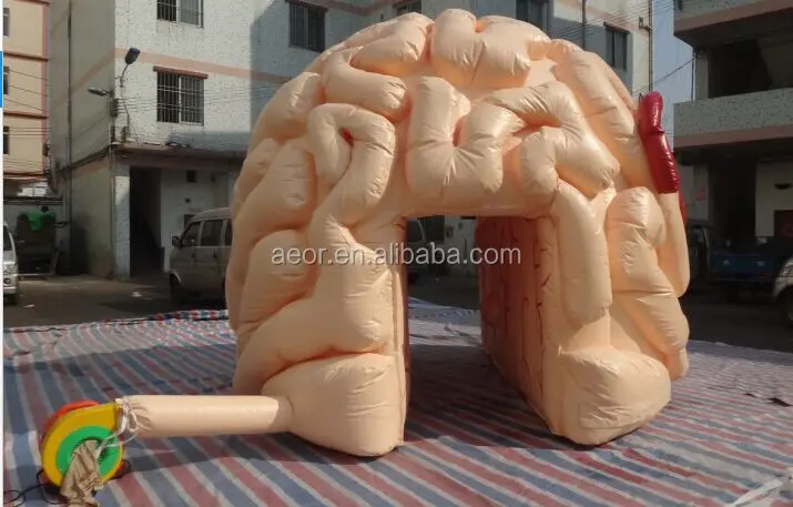 inflatable brain toy