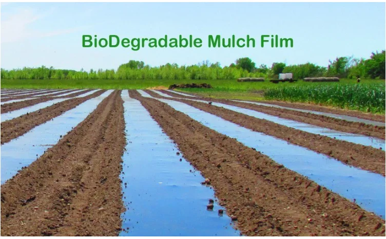 Cheap Farm Mulch Films For Crops For Agriculture Use - Buy Plastic ...