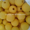 HY-5 global float