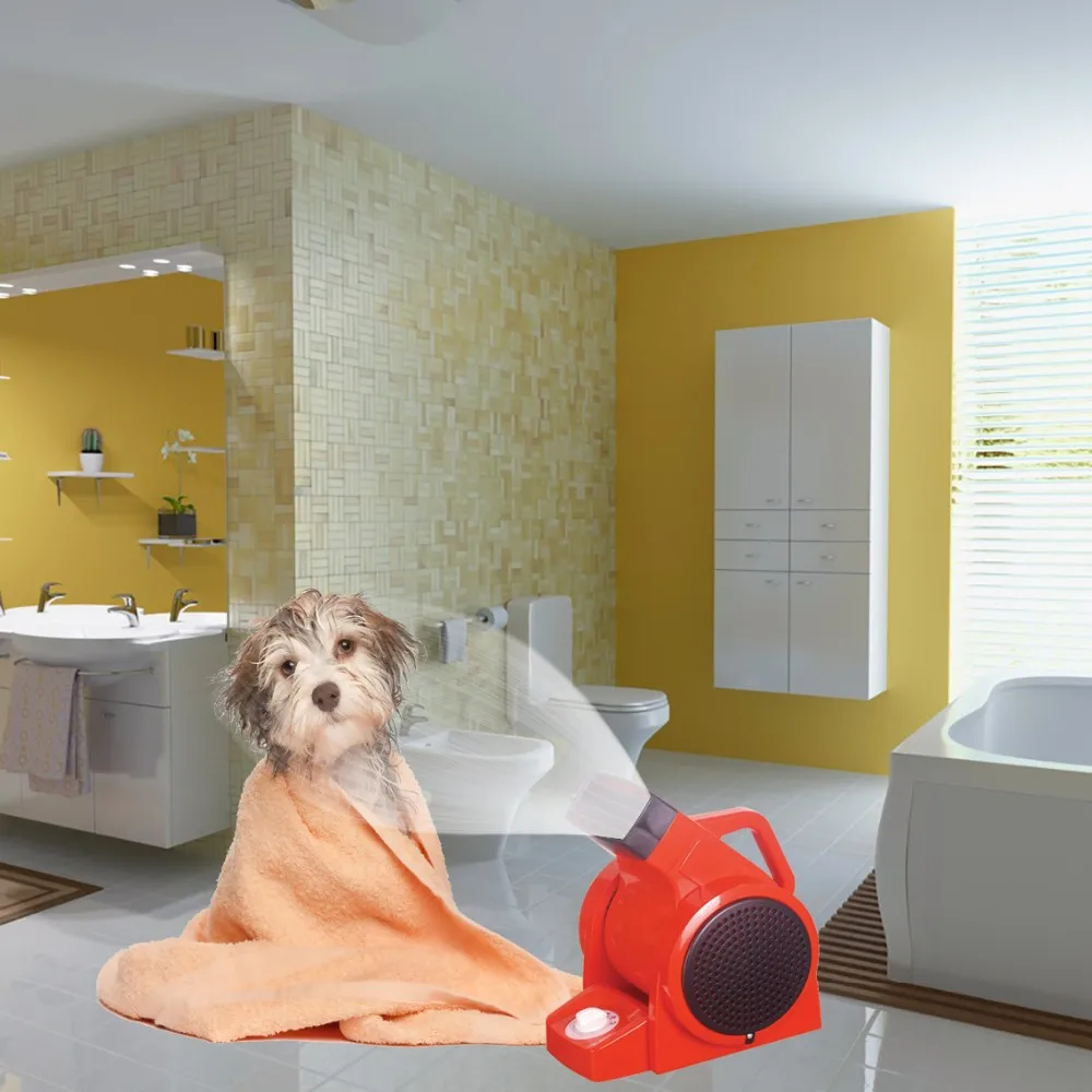 pet-dryer-1000x1000px-scene-c.jpg