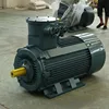 Premium Efficiency 3 Phase Induction Asynchronous Explosion-Proof huge power Motor