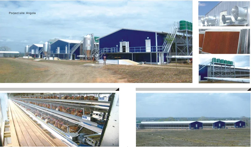 leading modern prefab low cost poultry farming house with equipment in China
