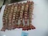 HOSO Sea Tiger Shrimps