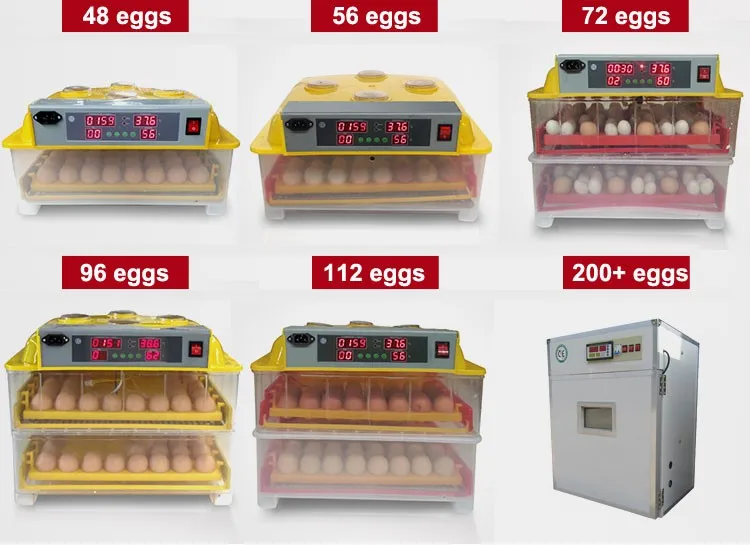 Hot Sale Automatic 100 Chicken Egg Incubator Bangladesh - Buy Egg Incubator,Chicken Egg ...