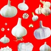 Hot selling new garlic separating machine from Jinan Eagle