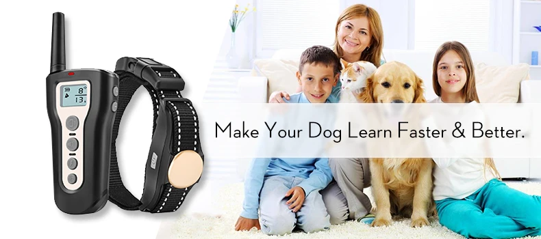 Electronic Dog Training Collar