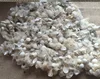 Waste cut silk cocoon for research Experiment 100% natural no any chemical