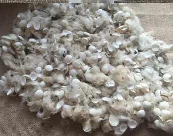 Silkworm cocoon for skin picture