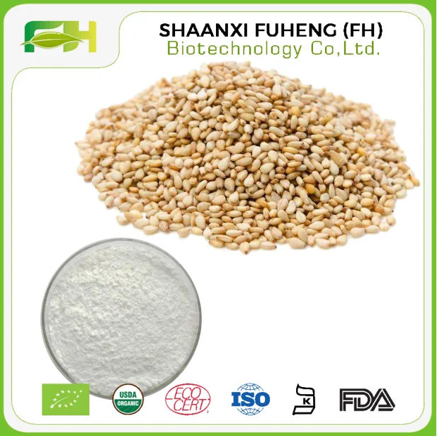 Natural Sesame Seed Extract Sesamin Powder,Sesame Seed Lignans Extract