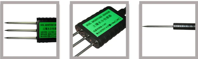 paste-pic-dp_uuid_g3dze