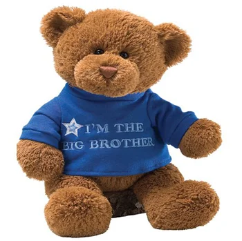 teddy bear with blue shirt