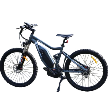 ego electric bike