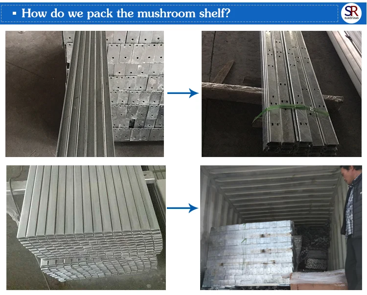 Factory Mushroom Racks Growing Shelves Spawn Mushroom Grow Shelf