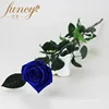 Blue Flowers Pictures Flower Stem Forever Long Lasting Flower Decorations