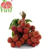 2016 new crop Global GAP lychee lichi leechee lichee