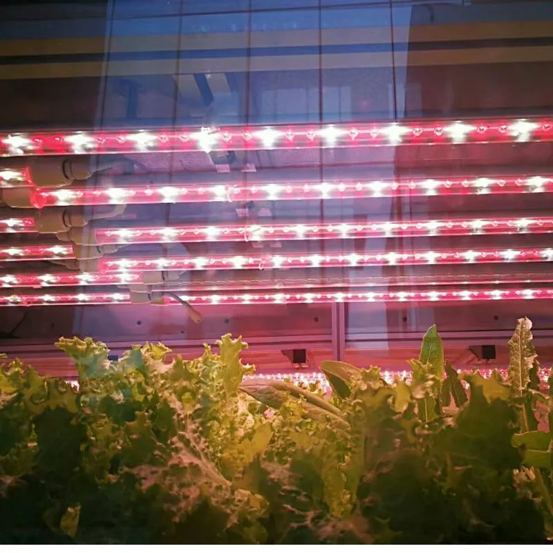 T8 led grow  bar4