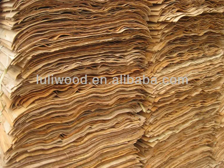 core veneer.jpg
